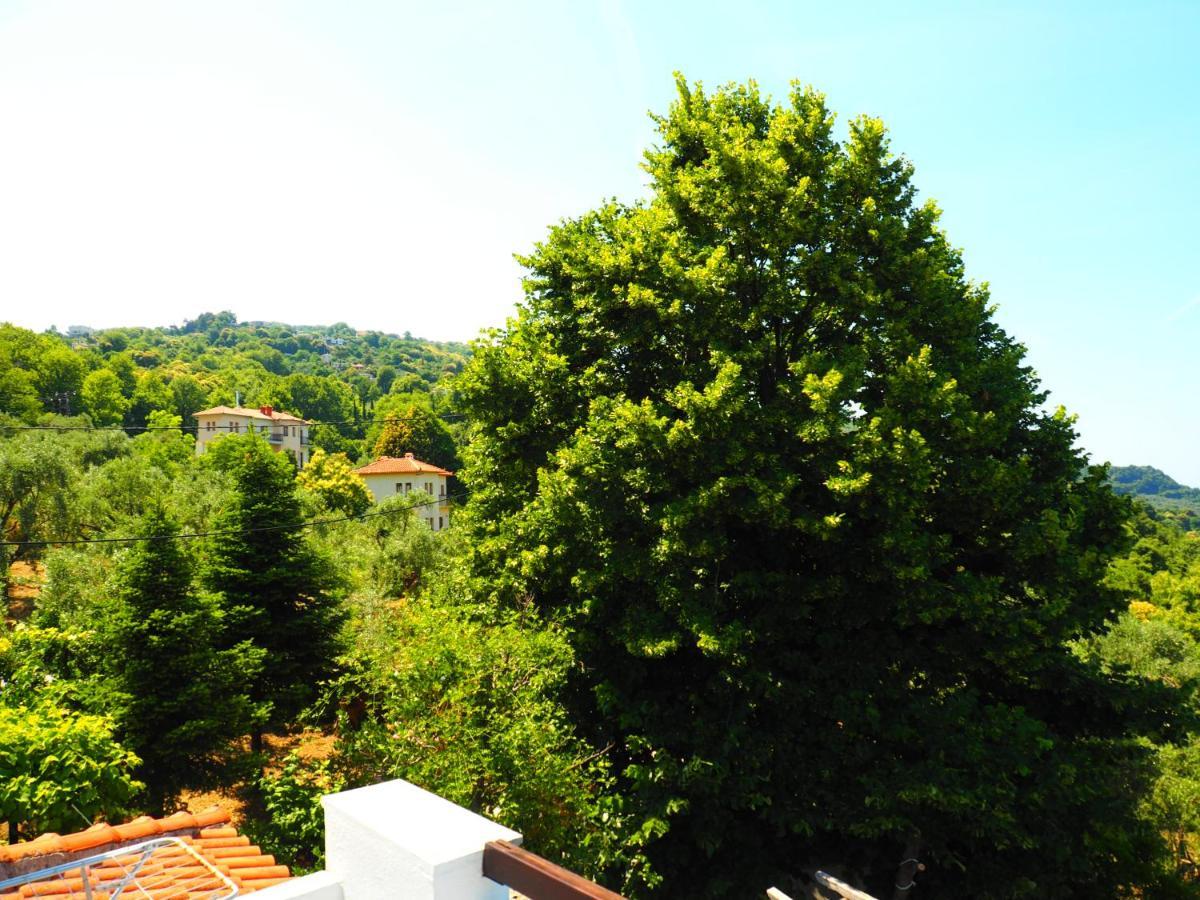 Felitsia Apartments & Studios Agios Ioannis (Thessaly) Exterior photo