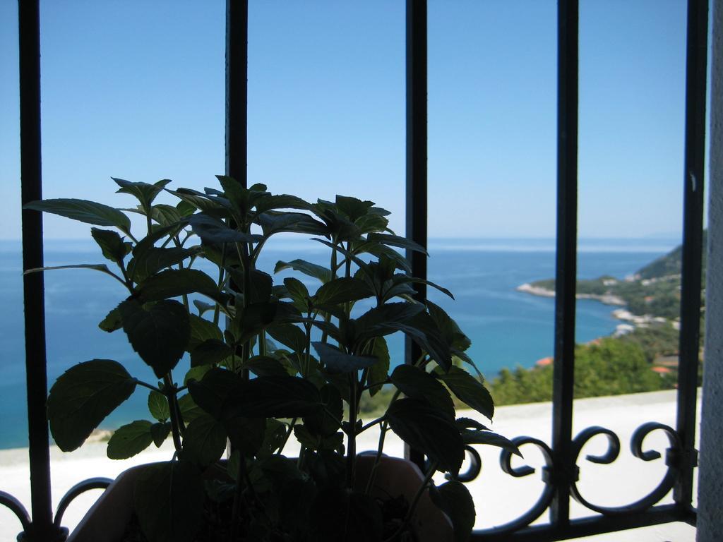 Felitsia Apartments & Studios Agios Ioannis (Thessaly) Exterior photo
