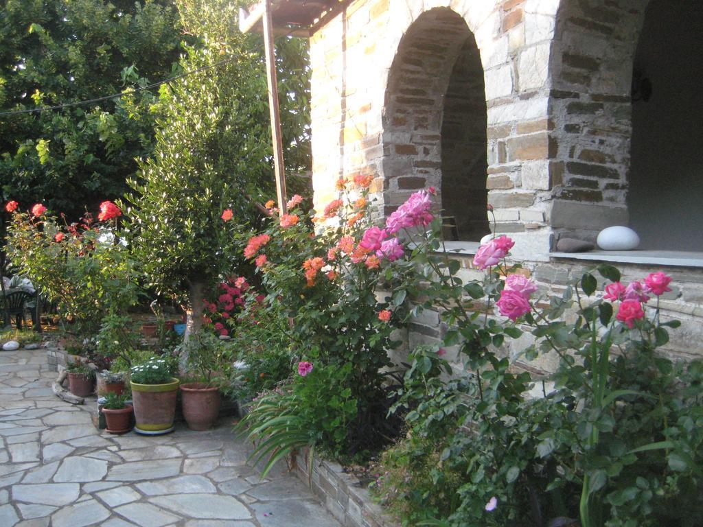 Felitsia Apartments & Studios Agios Ioannis (Thessaly) Exterior photo
